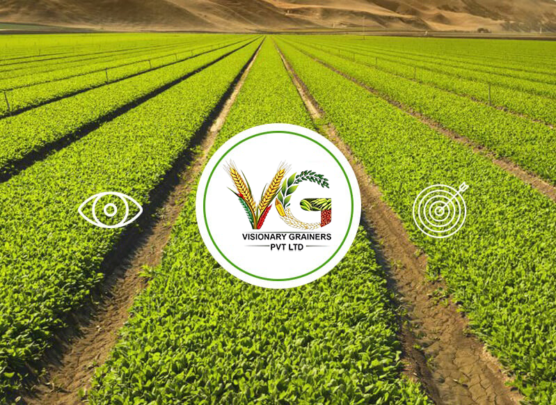 Visionary Future of Agriculture