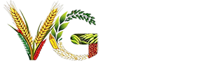 Visionary Grainers Pvt. Ltd. Logo